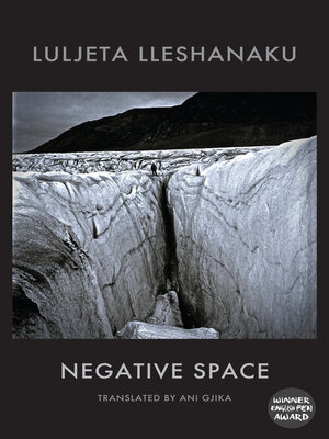 cover image of Negative Space